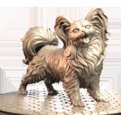 Papillion (2)